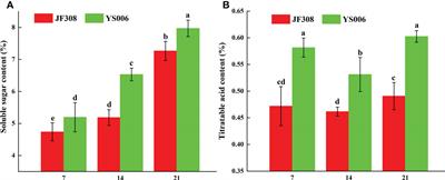 Transcriptomic, metabolomic, and ATAC-seq analysis reveal the regulatory mechanism of senescence of post-harvest tomato fruit
